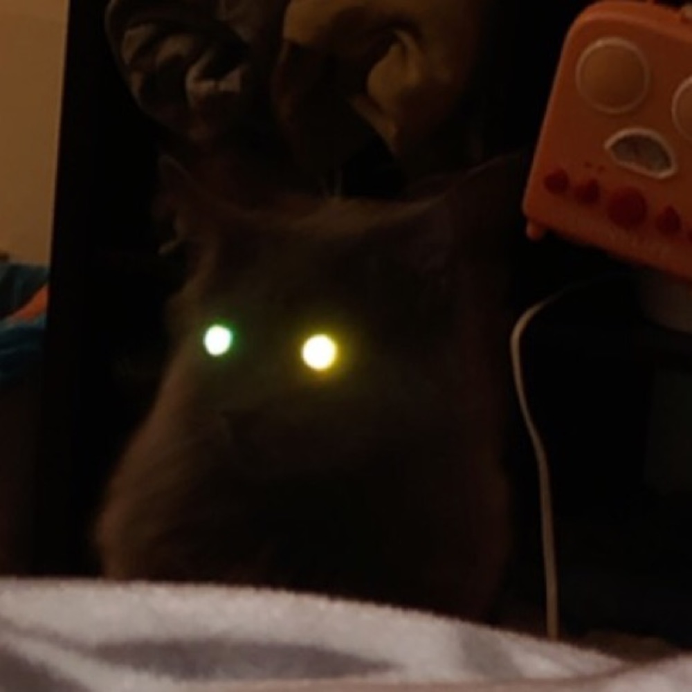 Meet your Posher, Erika